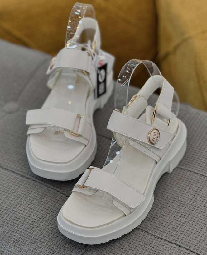 تابستانی مارکدار