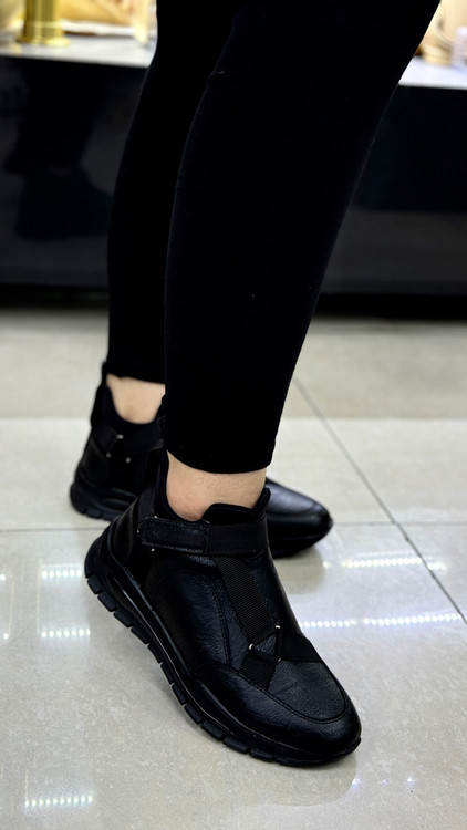 سالی یکبار تولید میشه